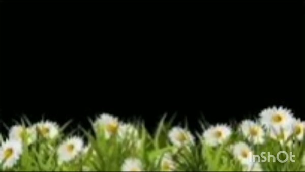 Полянка для детей