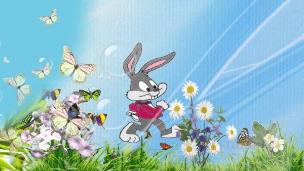 Детские анимации