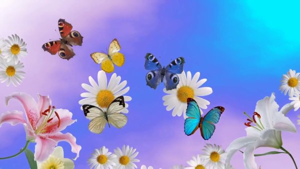 Фон одуванчики