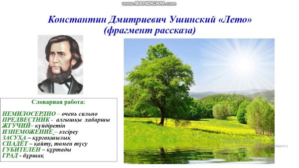 Константин Дмитриевич Ушинский лето