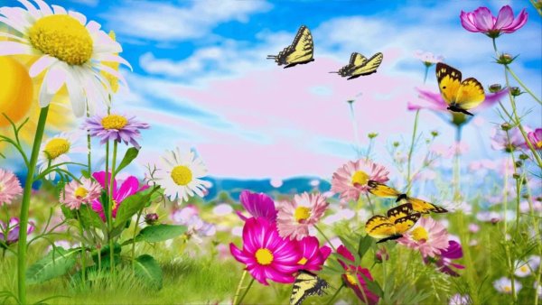 Детские фоны