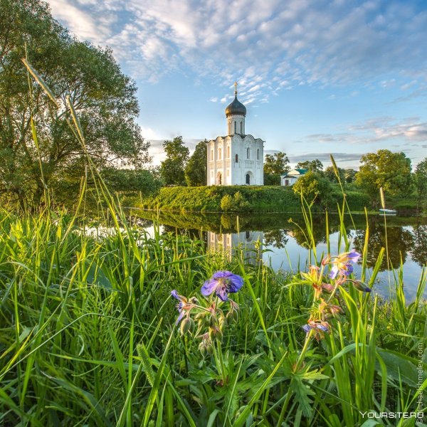 Церковь Покрова на Нерли летом