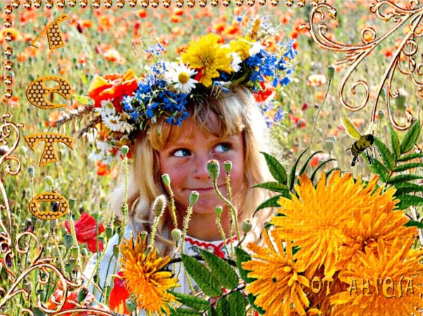 Лето Ах лето анимация