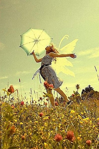 Что это пролетает лето