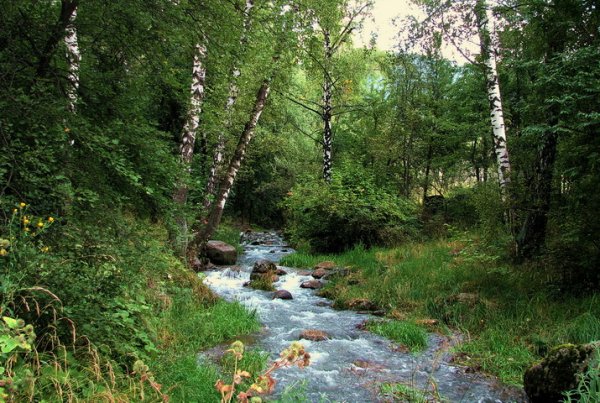 Калтанчик река