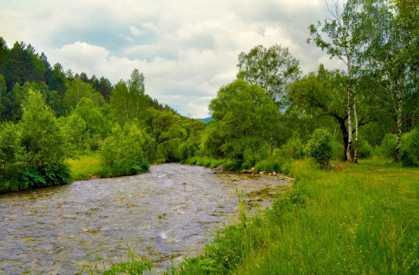 Ипель река