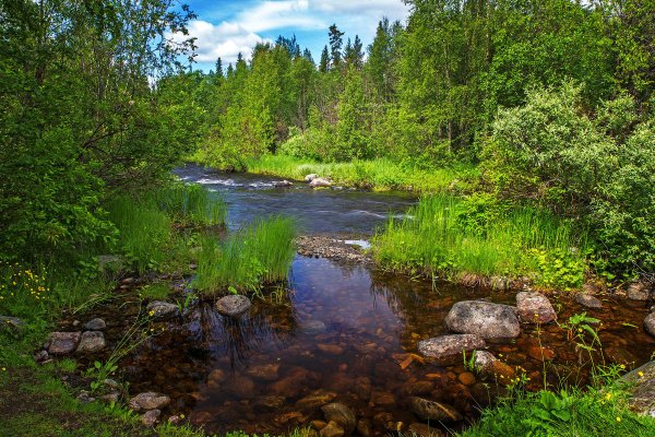 Тихая заводь реки