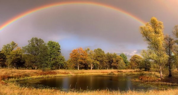 Проводы лета