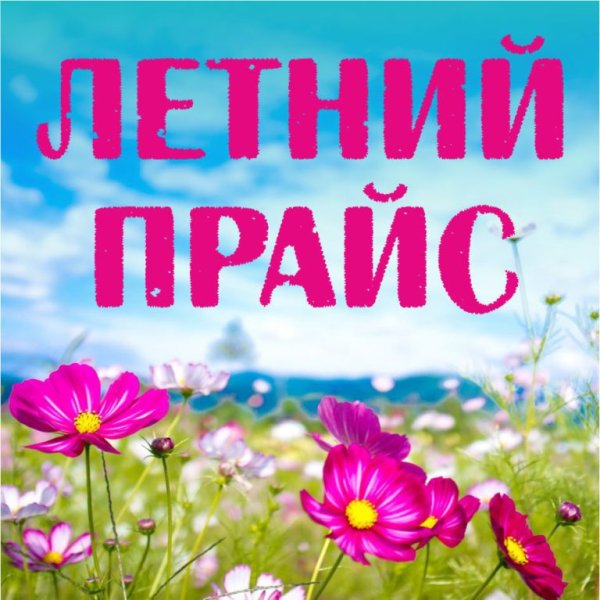 Летом дешевле