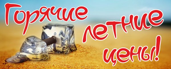 Лето ромашки