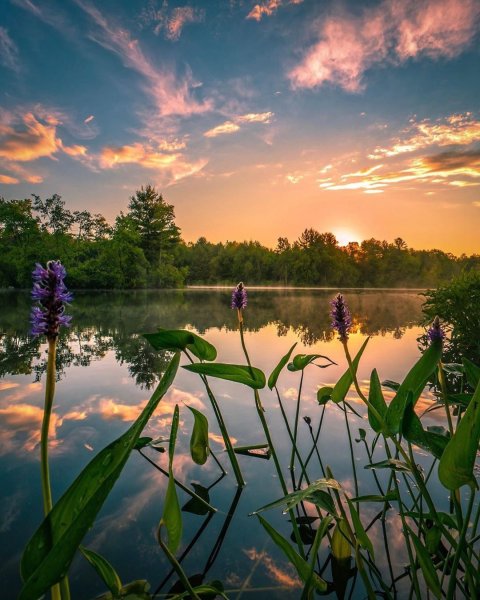 Природа вечер