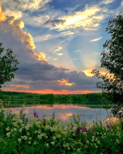 Природа вечер