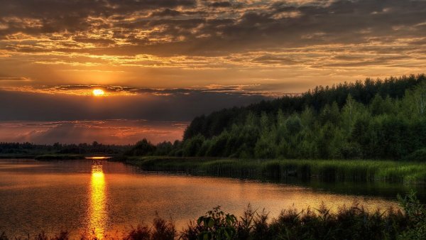 Летний закат