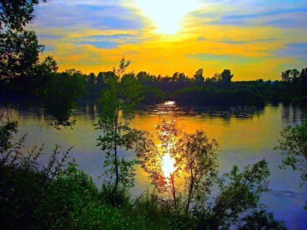 Август вечер природа