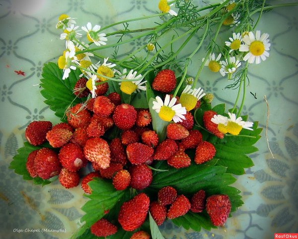 Вкусного лета