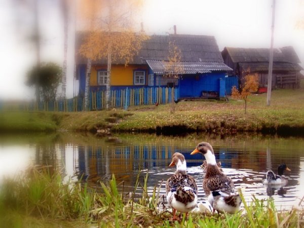 Красота деревенской жизни