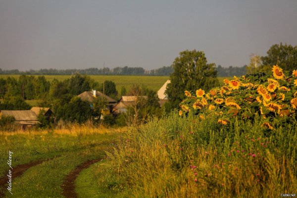 Белгород природа деревня