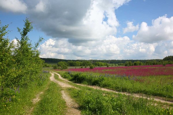 Медынцево Ковровский район
