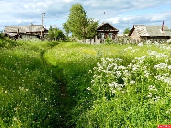Деревня Родина моя