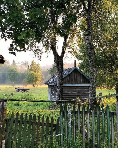Природа деревня