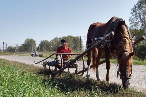 Готовь сани летом а телегу зимой рисунок