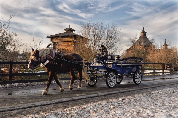 Акция готовь сани летом