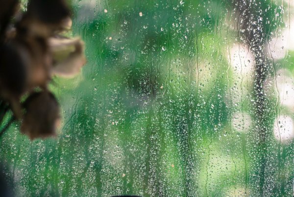 Мальчик с зонтиком