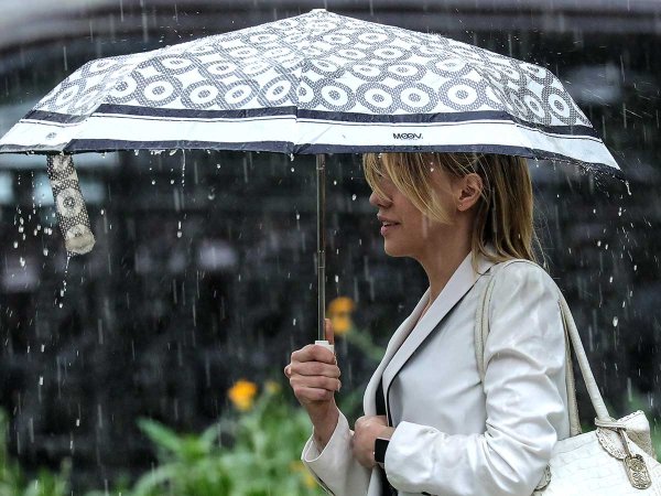 Мелкий дождь