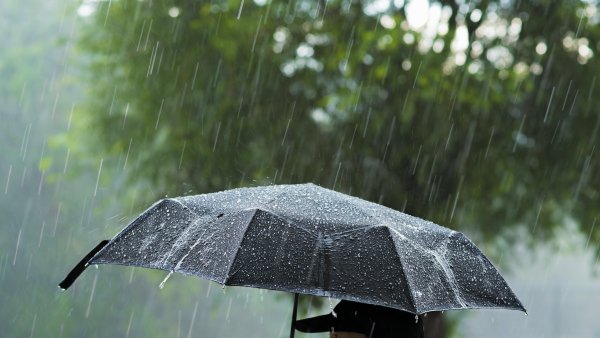 Хмурый дождливый день