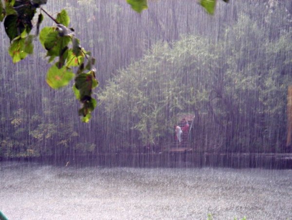 Проливной дождь