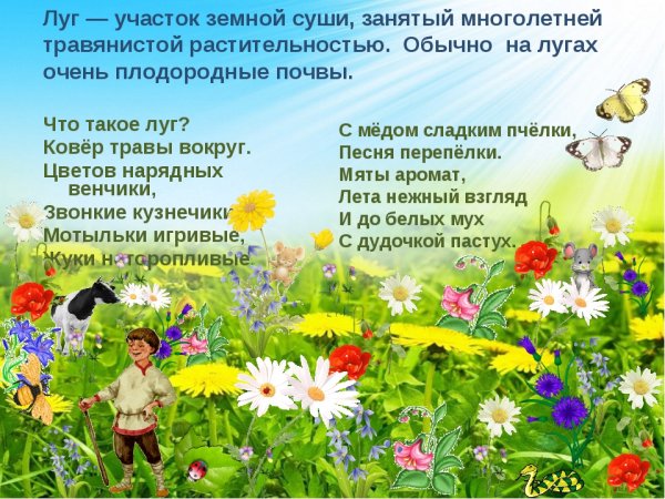 Плакат. Времена года