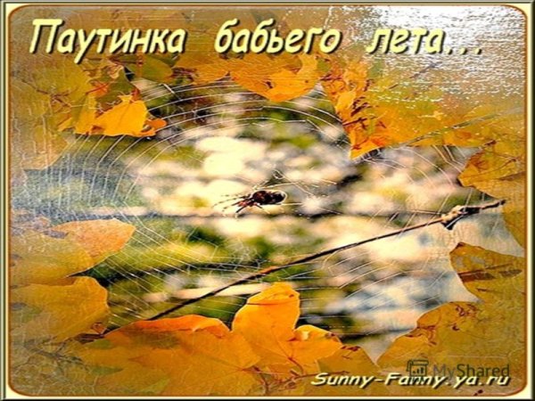 Поздравление с началом бабьего лета
