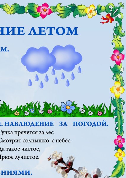 Наблюдения за природой летом