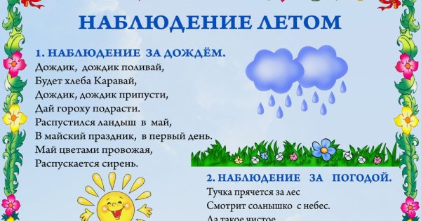 Наблюдение летом