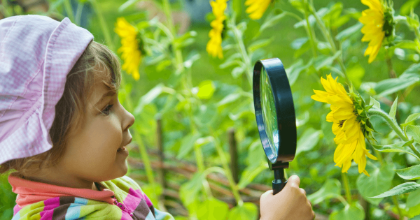 Наблюдение в саду летом