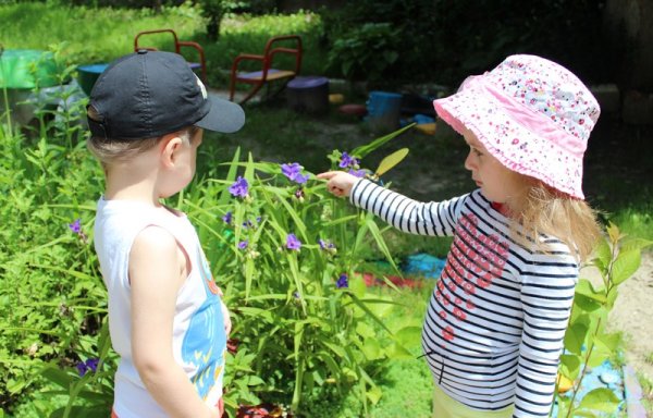 Наблюдение с детьми в летний период