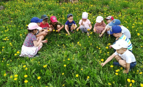 Дети наблюдают за деревьями