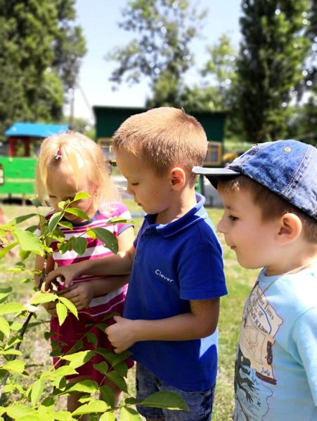 Летняя прогулка в детском саду