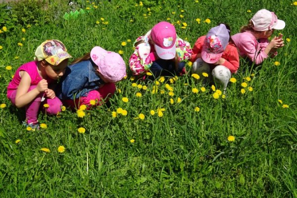 Наблюдение в саду летом