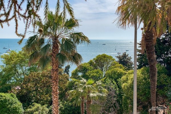 Олимпийский парк Сочи 2019