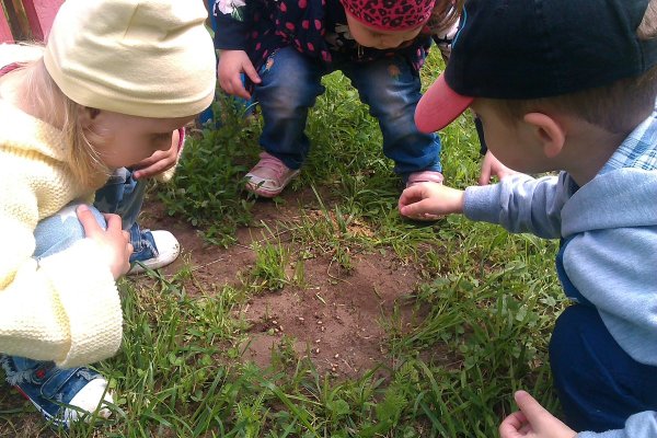 Наблюдение в природе