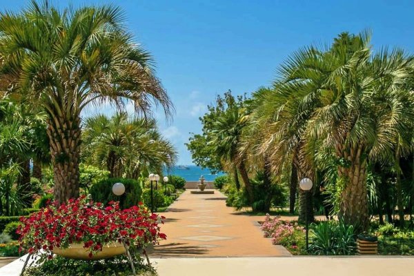 Курорты Сочи 2022