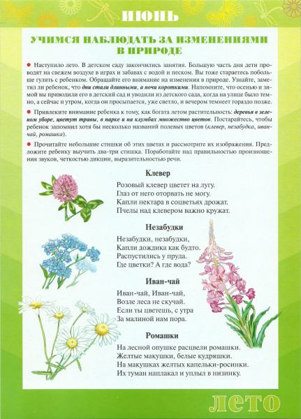 Июнь в родительский уголок в детском саду