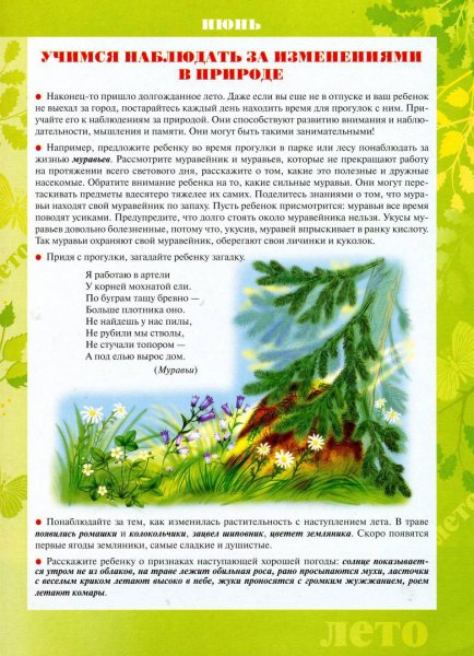 Наблюдаем за природой весной для родителей