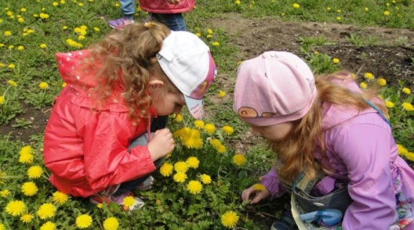 Дети наблюдают за природой