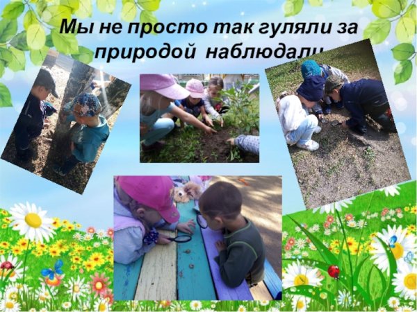 Изучение природы