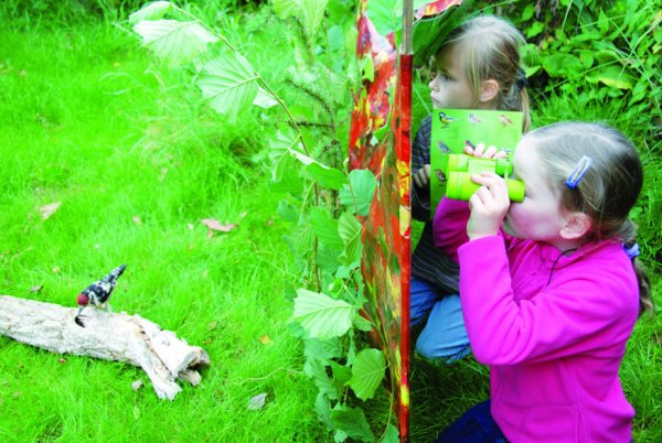 Наблюдения с детьми летом