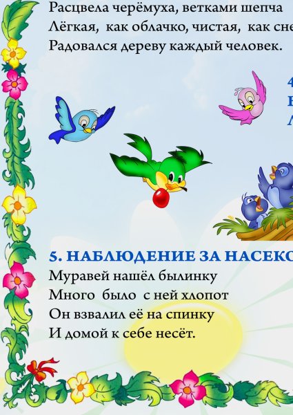 Наблюдение в саду летом