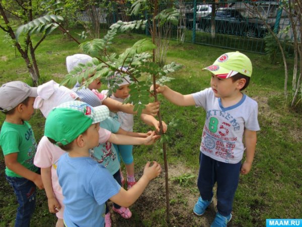 Человек наблюдает за природой