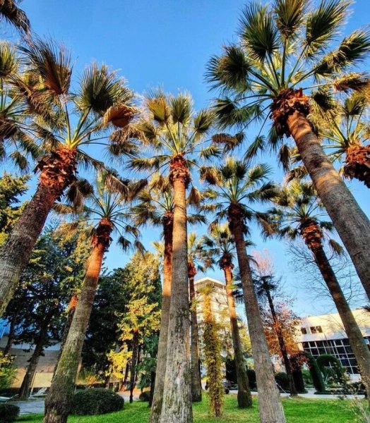 Курортный город Сочи